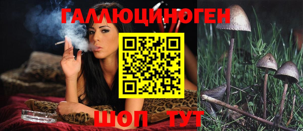 Нововоронеж  Галлюциногенные грибы мицелий  Вход с VPN 