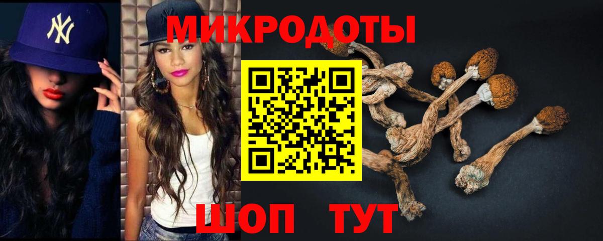Галлюциногенные грибы мицелий Нововоронеж